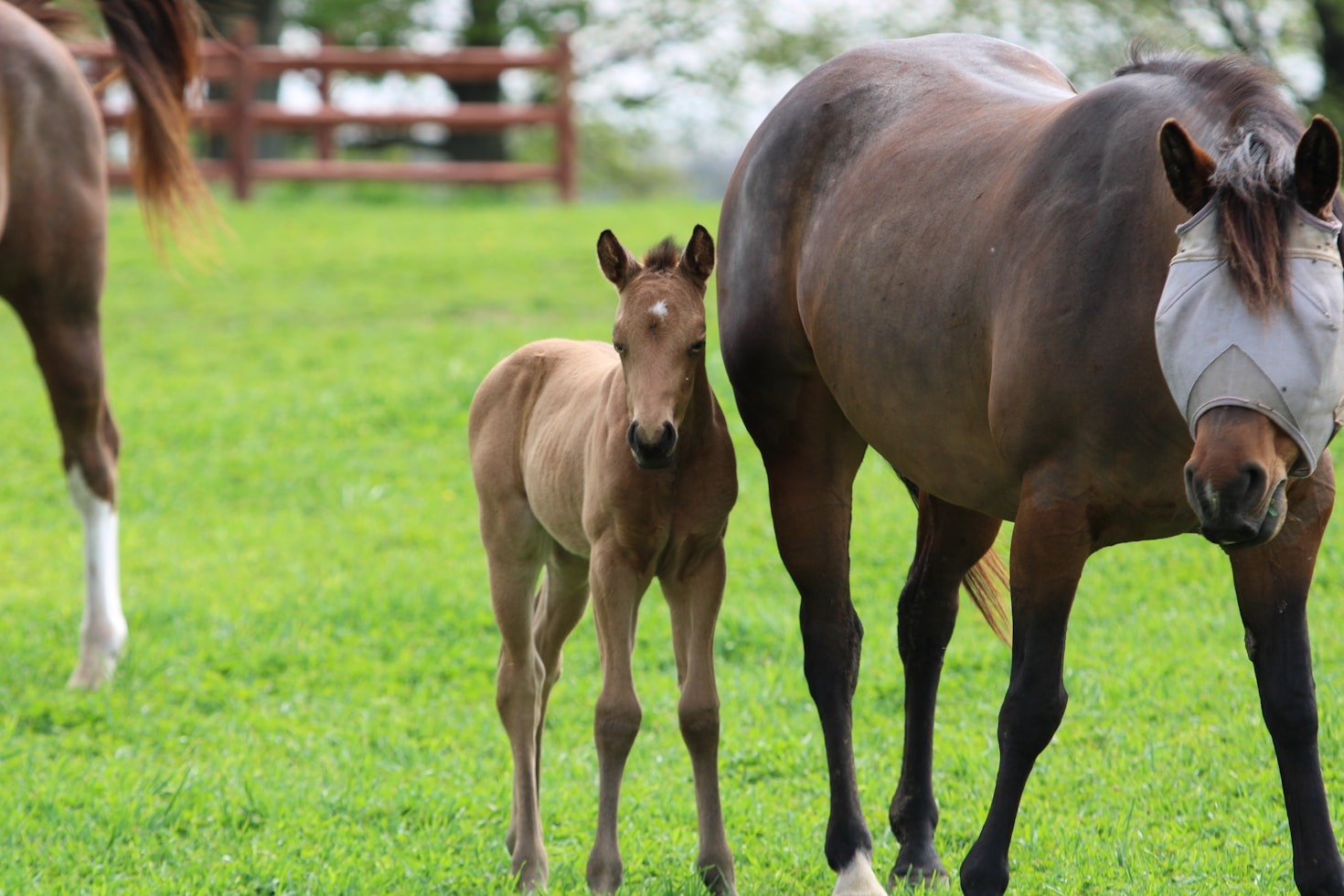 Finding Inner Peace at Back of Beyond
